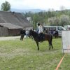 Rajd Mszana Górna 2015